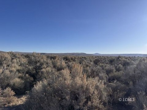 Christmas Valley Land For Sale