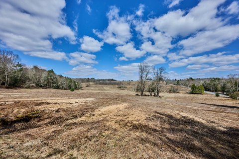 56.5-Acre Pasture Tract