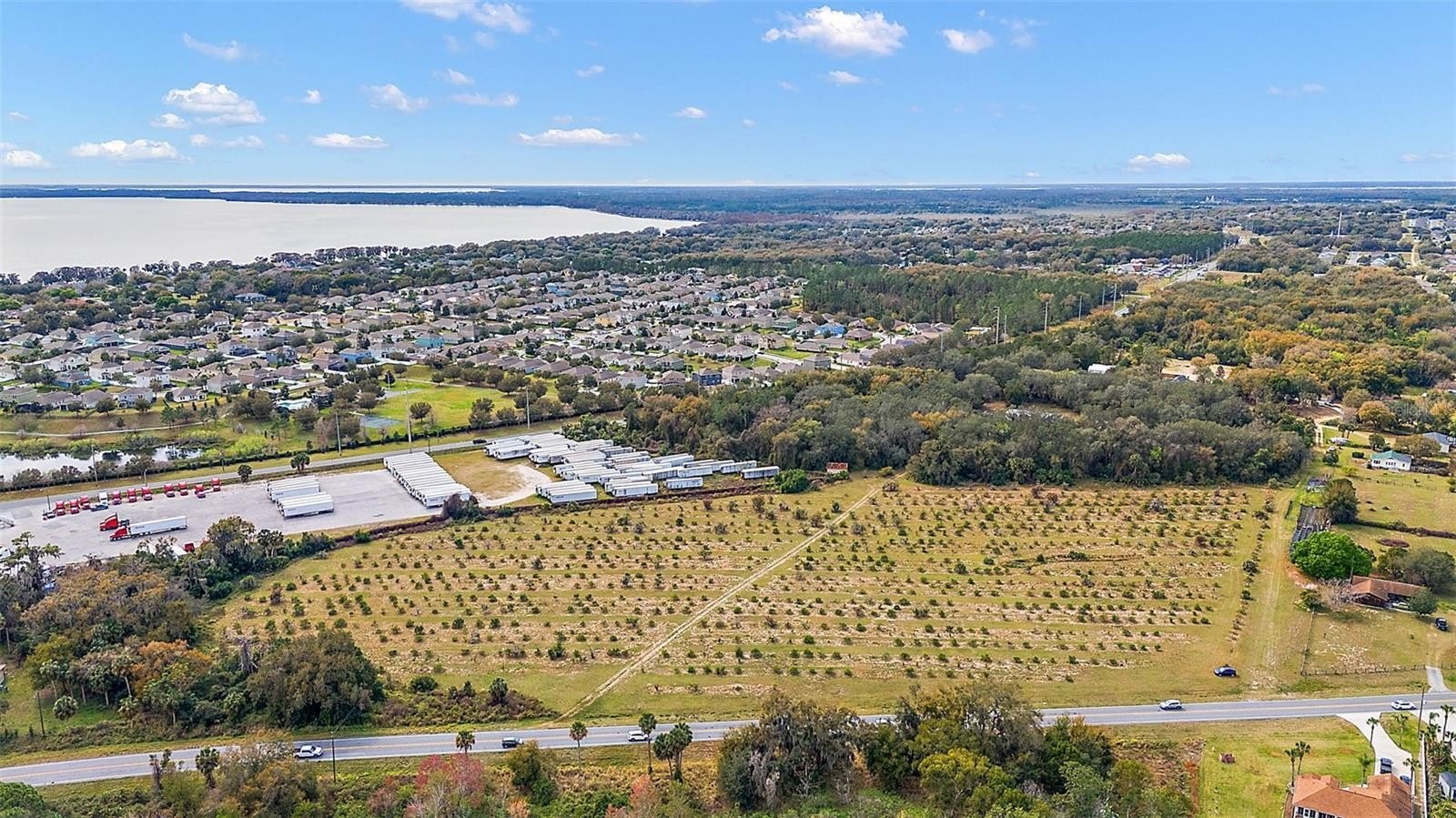 14-Acre Orange Grove in Grand Island