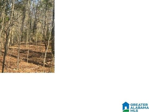 Undeveloped Lot in Alpine