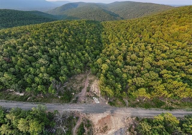 Moonshine Mountain Land Opportunity