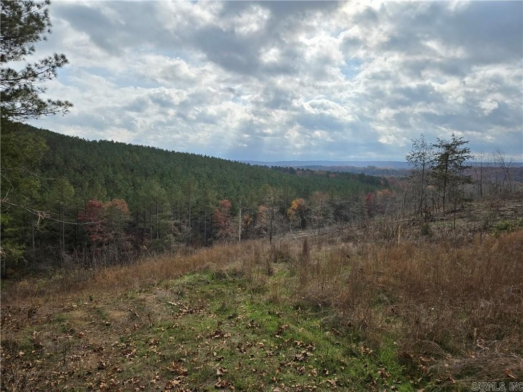 Picture 7