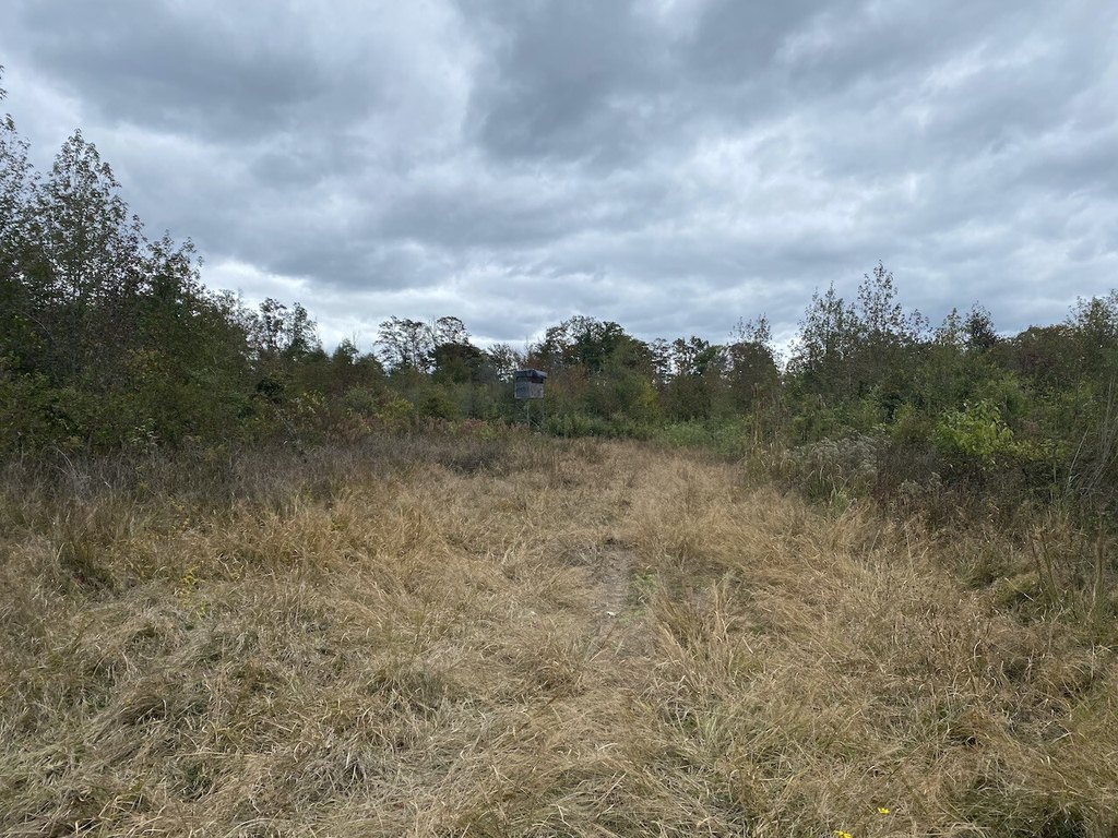 Picture 22
