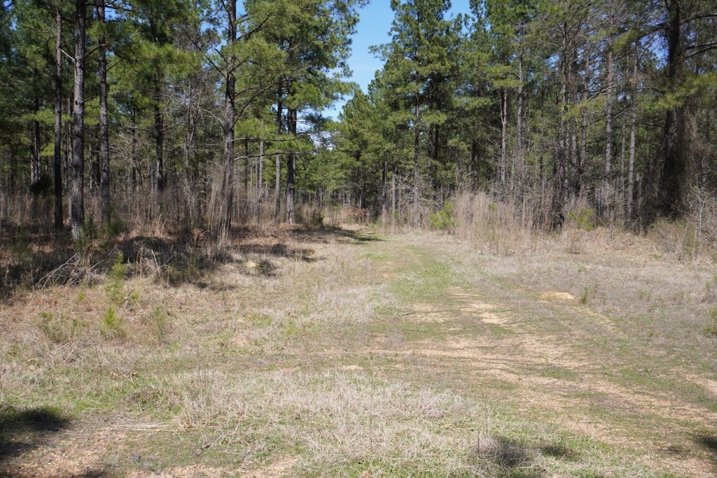 Picture 17