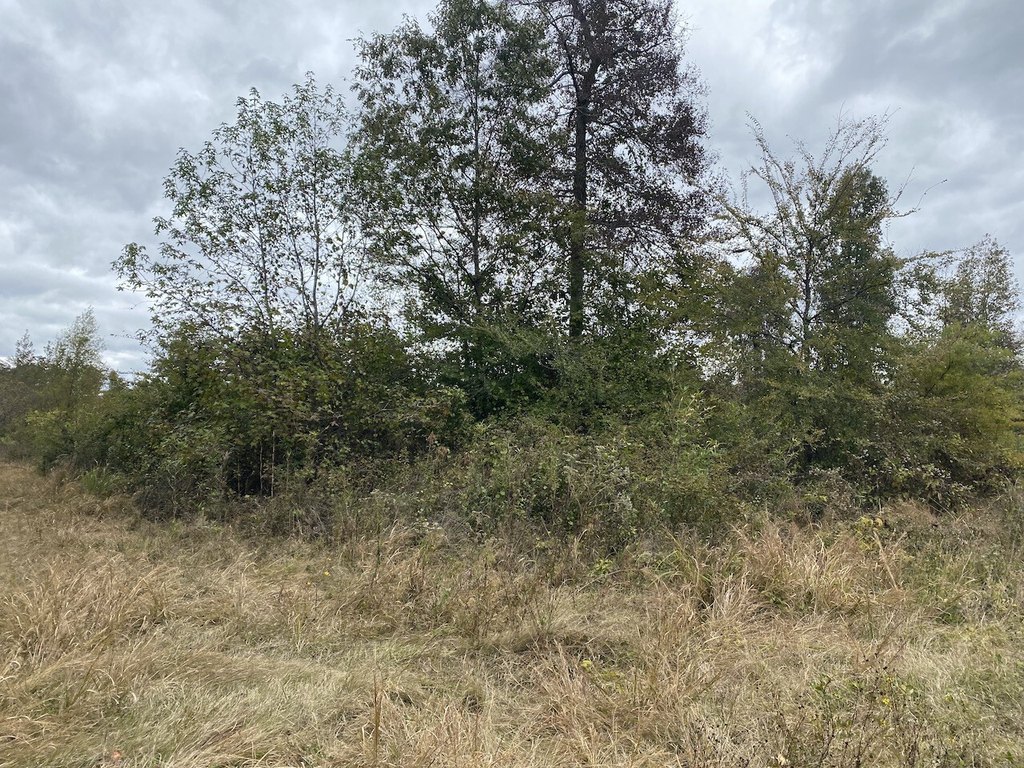 Picture 20