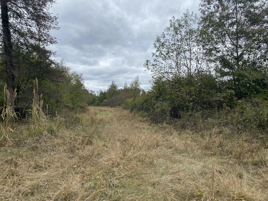 Picture 19