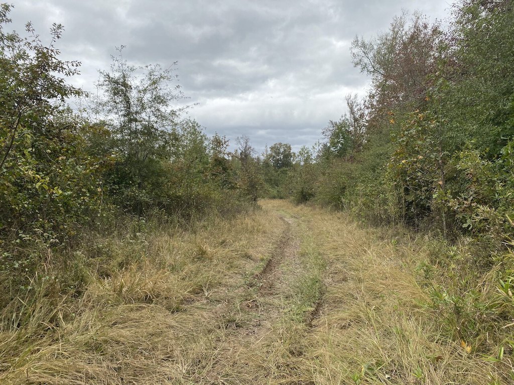 Picture 27