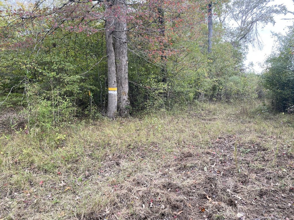 Picture 23
