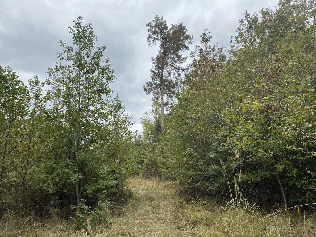 Picture 32