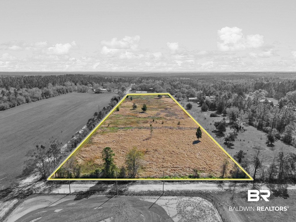 Picture 4