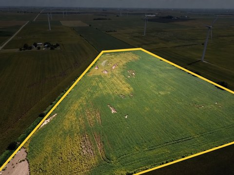 Productive Agricultural Farmland