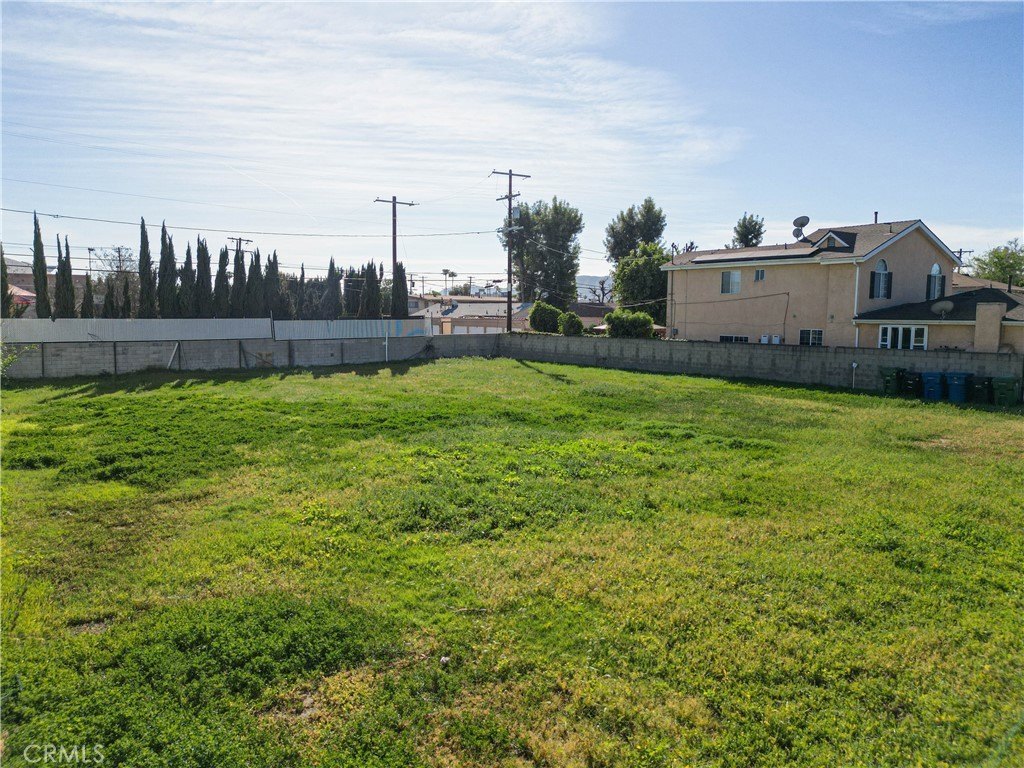 Picture 5
