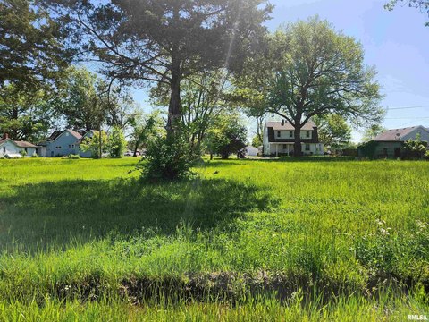 Residential Land in Ashley, IL