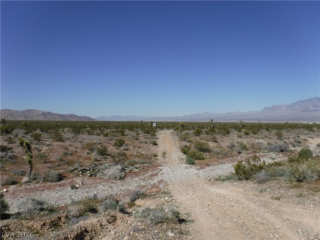 Picture 5