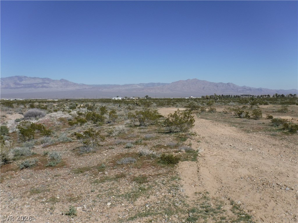 Picture 4