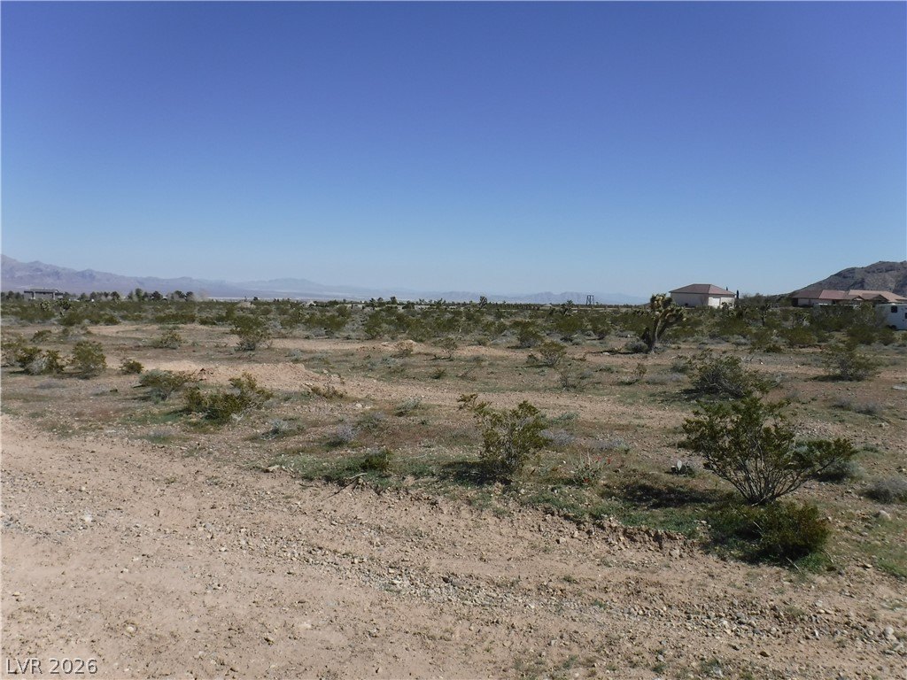 Picture 3