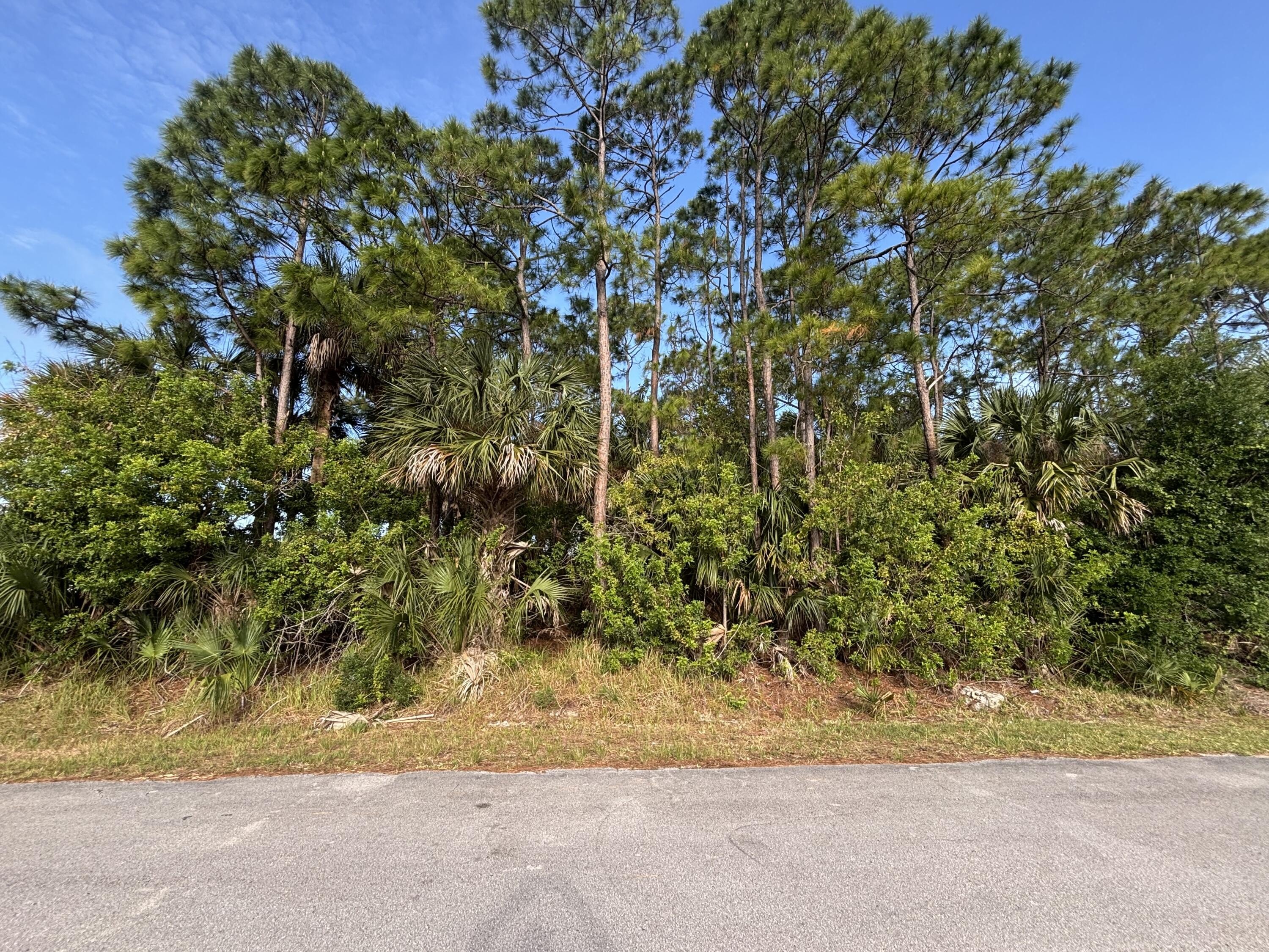 Residential Lot in Palm Bay