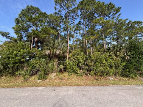 Residential Lot in Palm Bay