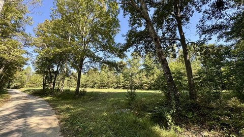 Land, Deer Lodge, TN