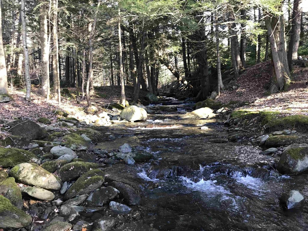 Picture 16