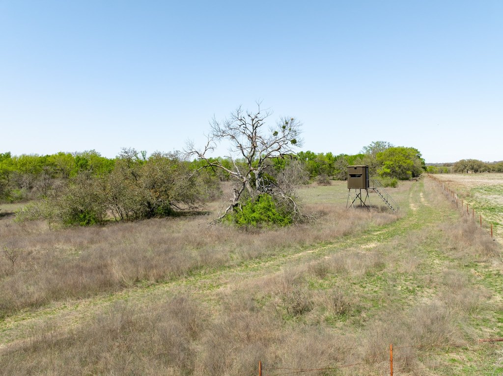 Picture 23