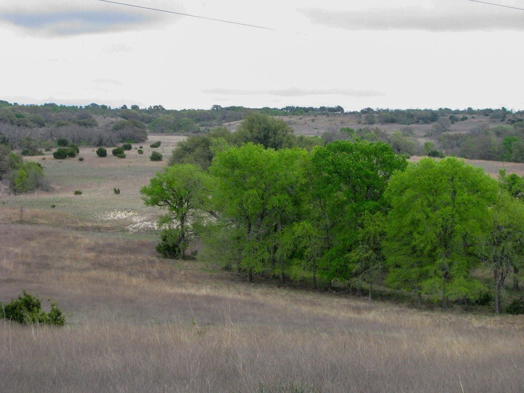 Picture 33