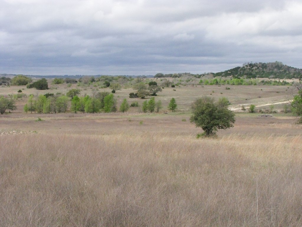 Picture 27