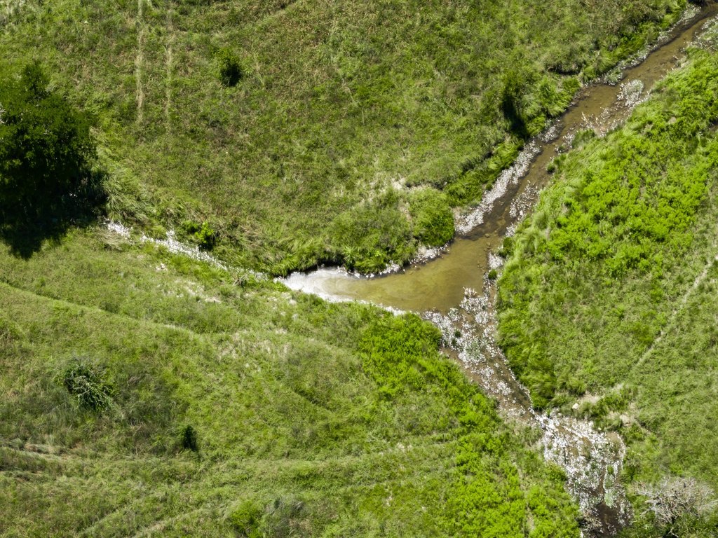 Picture 10