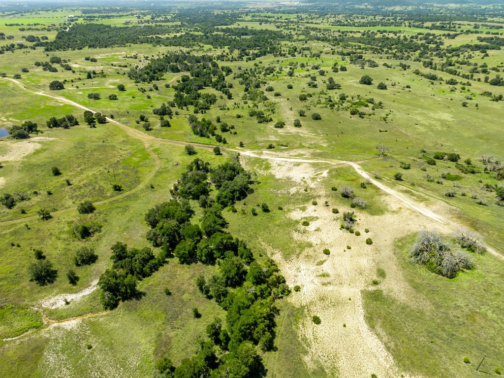 Picture 20