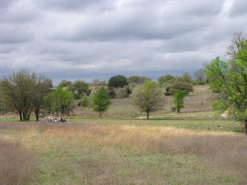 Picture 18