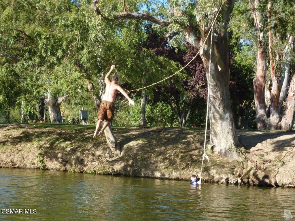 Picture 17