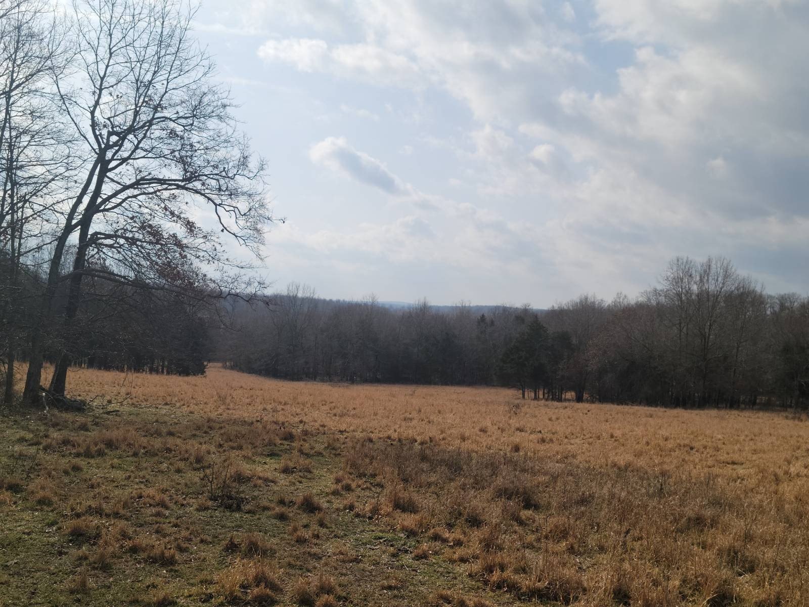 40 Acres Vacant Land