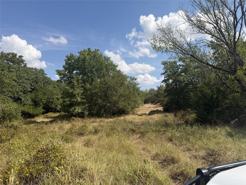 Picture 12