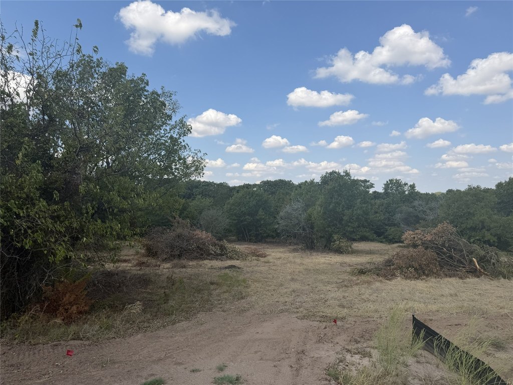 Picture 8