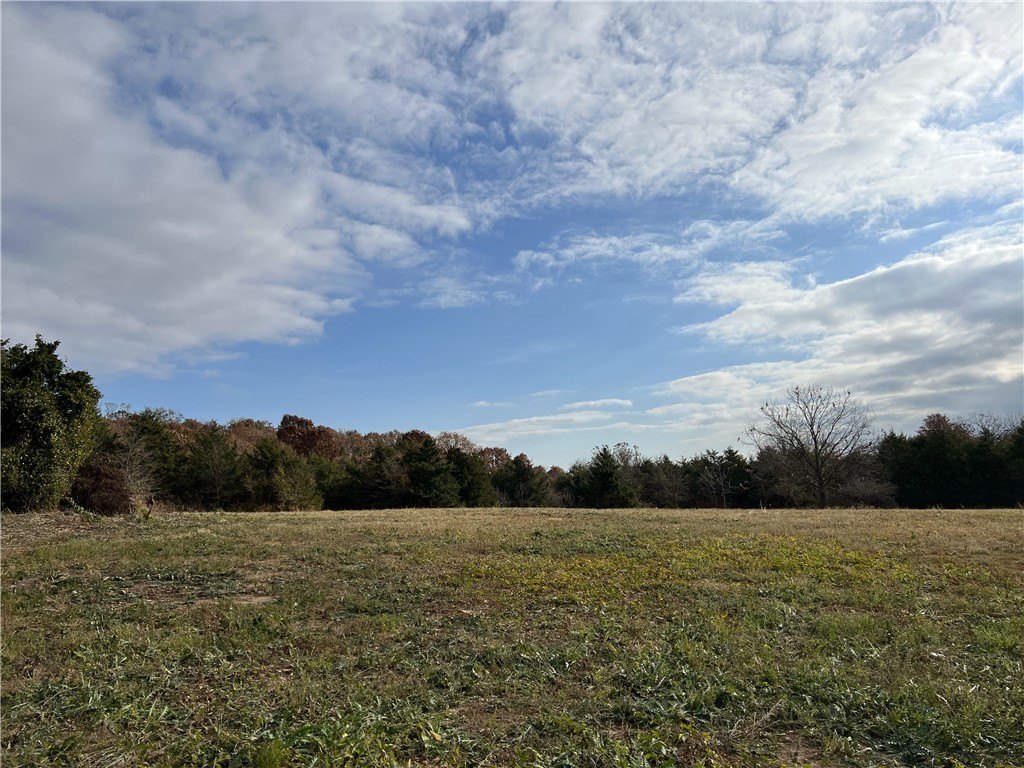 Picture 23