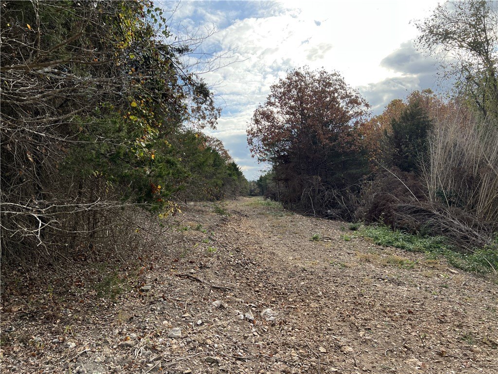 Picture 22