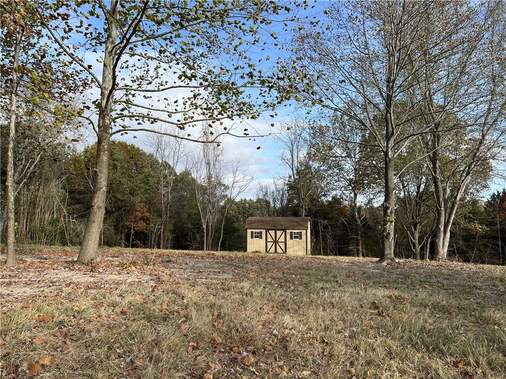 Picture 4
