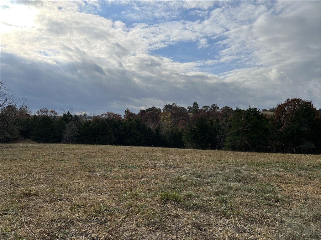 Picture 17