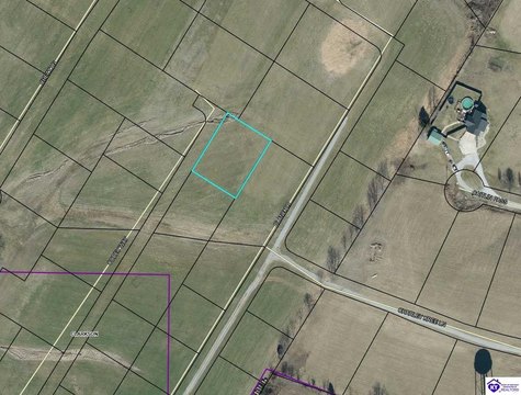 Lots and Land, Clarkson, KY