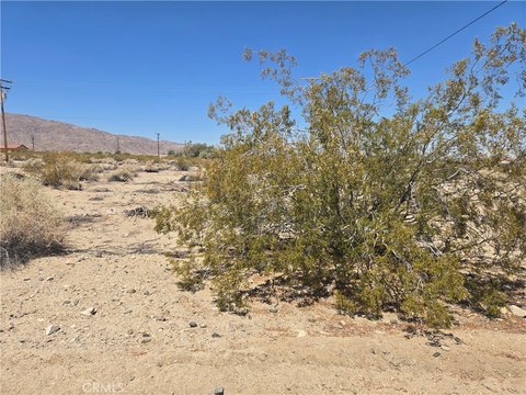 Vacant Desert Land Lot