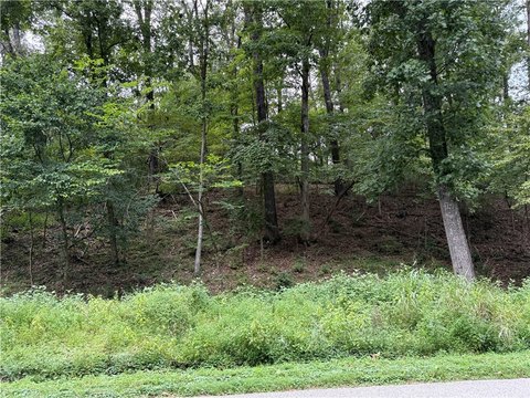 Wooded Lot Near Walmart Office