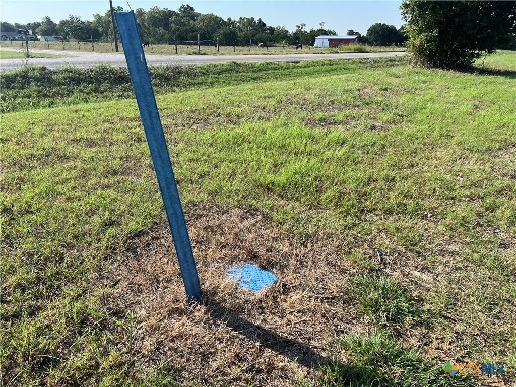 Picture 3