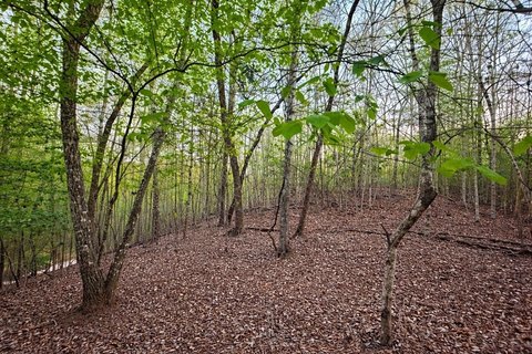 Toccoa River View Lot