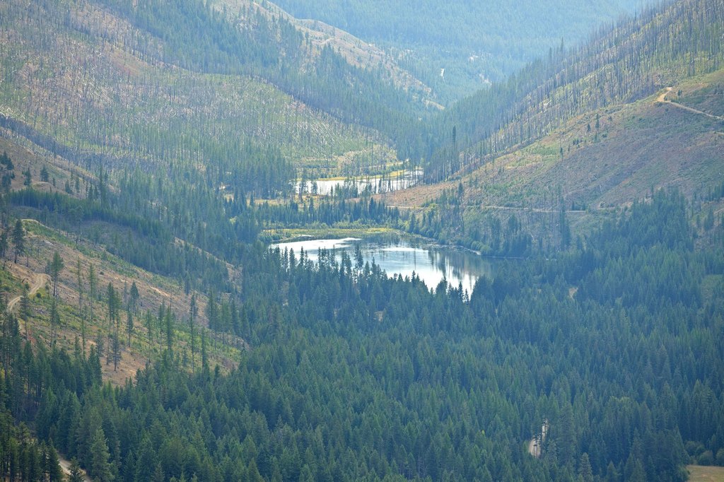 Picture 18