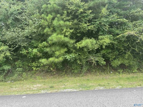 Commercial Lot on Meighan Boulevard