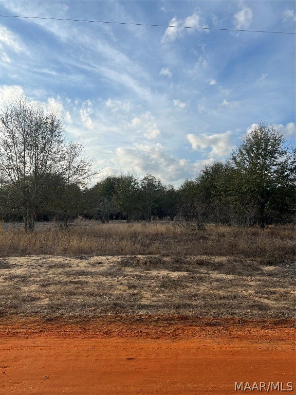 Land in Miller's Ferry Area