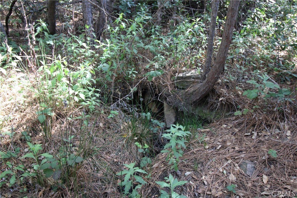 Picture 18