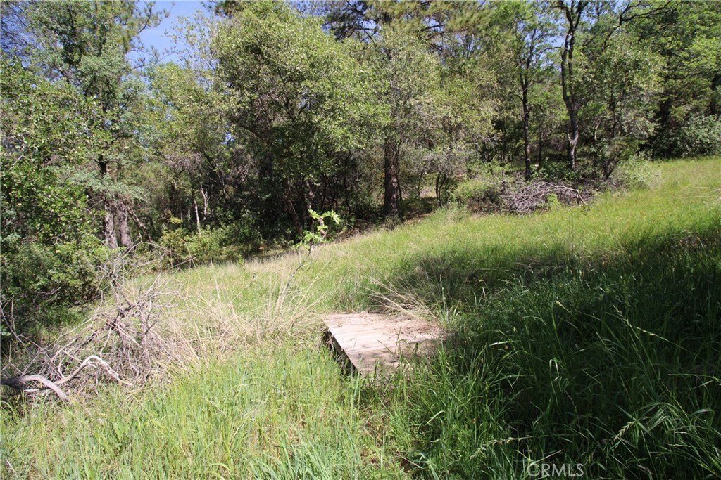 Picture 30