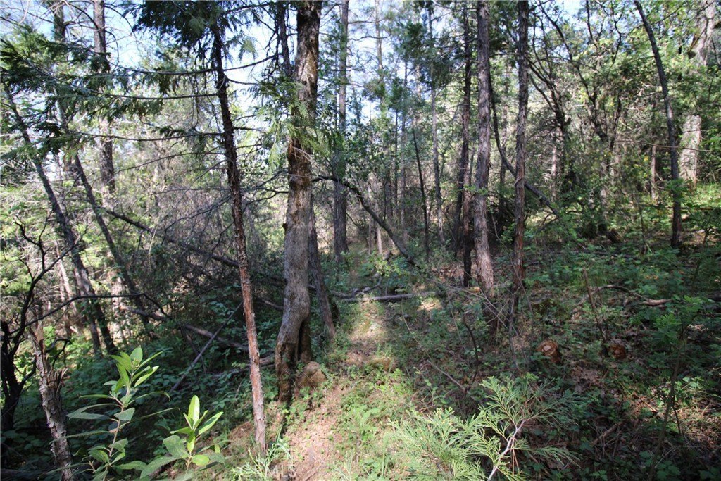 Picture 21