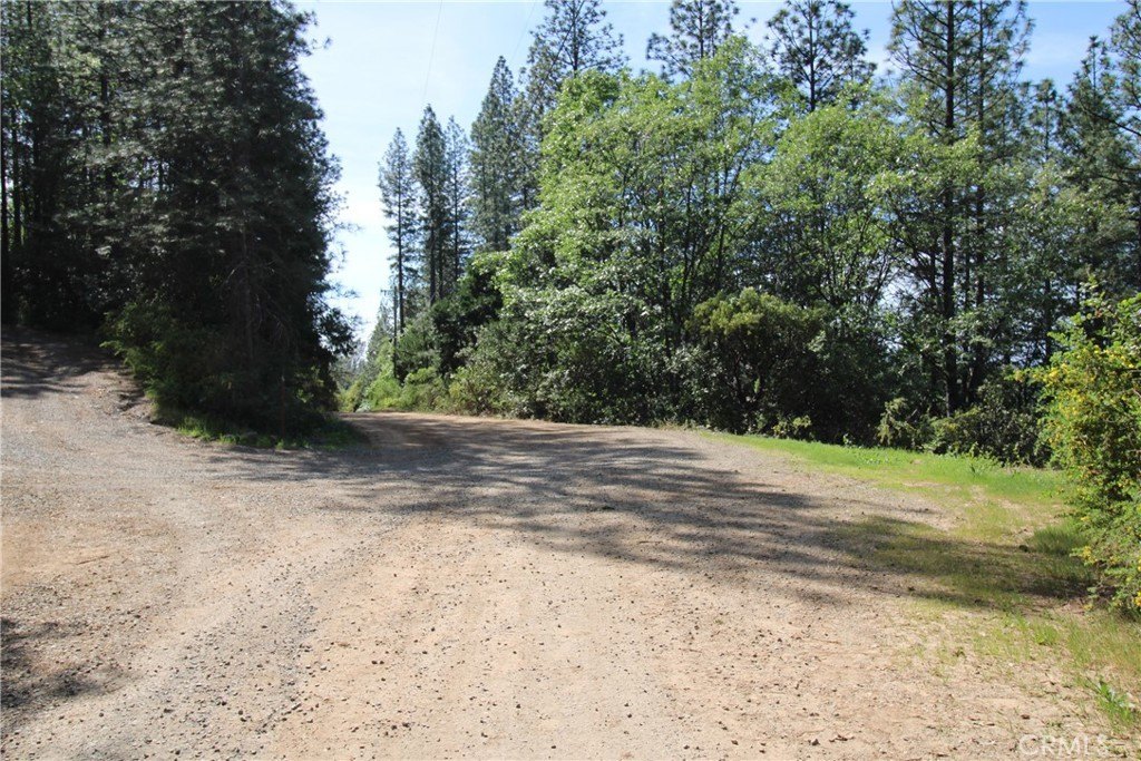 Picture 37